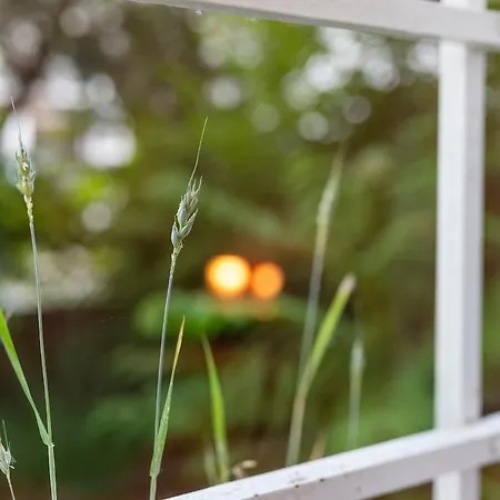 Art & Design 브라티슬라바