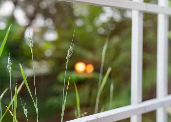 Art & Design 브라티슬라바